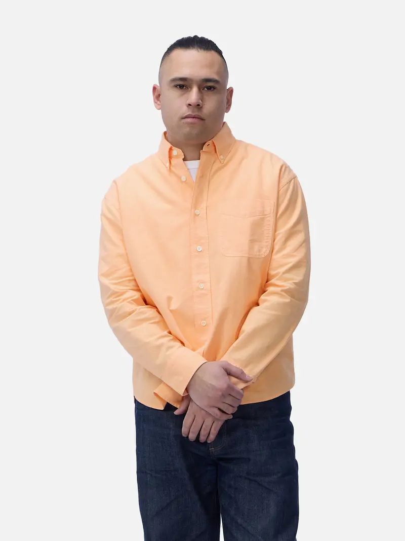 Big Oxford ~ Creamsicle